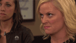 angry-leslie-knope-parks-and-recreation